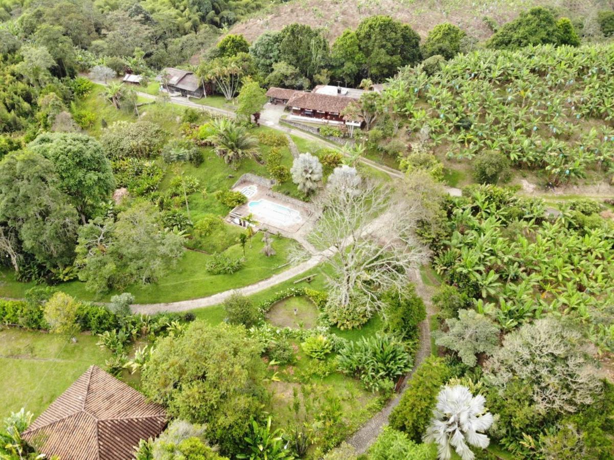 Calarcá Finca La Colina Bed & Breakfast エクステリア 写真